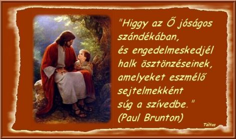 1215162207_higgy...jpg