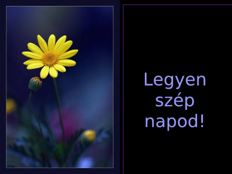bekesseg18.png bekesseg18.png