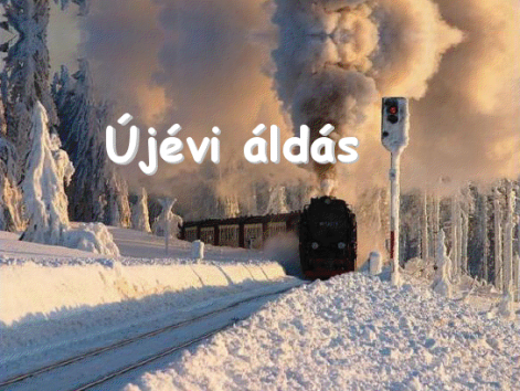 ujevi_kosz1.png