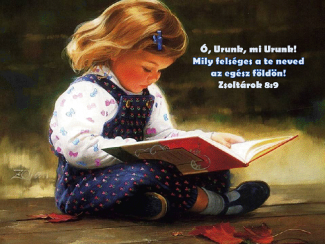 zsolt18.png zsolt18.png