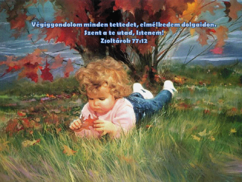 zsolt7.png zsolt7.png